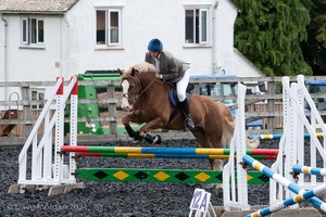 Class 5 - Fences not above 2'6